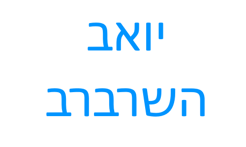 אינסטלטור